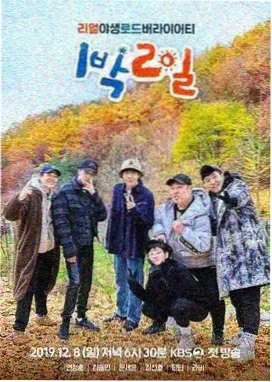 图鉴一号域名结构拆解